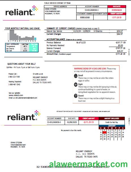 USA Reliant Energy utility bill template in Word and PDF formats